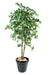Kunstig Ginkgo Biloba Træ 240 Cm Indvendig Dekoration