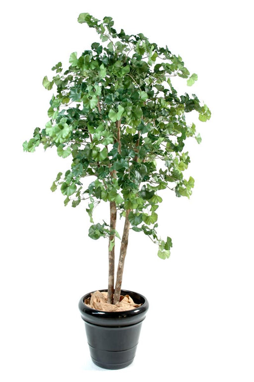 Kunstig Ginkgo Biloba Træ 240 Cm Indvendig Dekoration