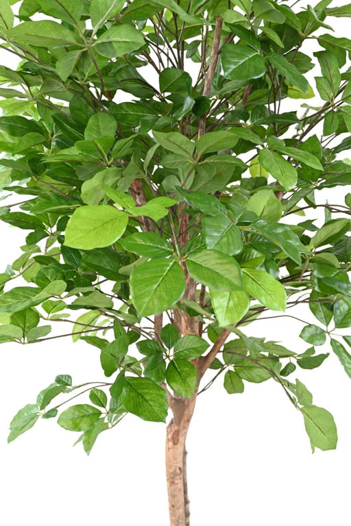 Kunstigt Bøg Grandifolia Træ Til Indretning