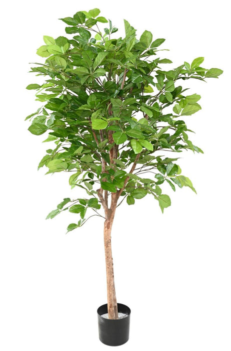 Kunstigt Bøg Grandifolia Træ Til Indretning