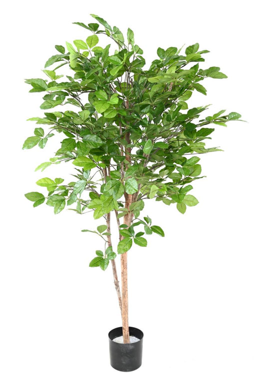 Kunstigt Bøg Grandifolia Træ Til Indretning