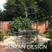 Gotisk Pergola Havebue