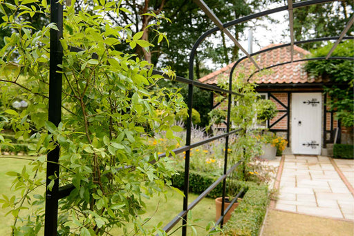 Harrod Pergola Havebue