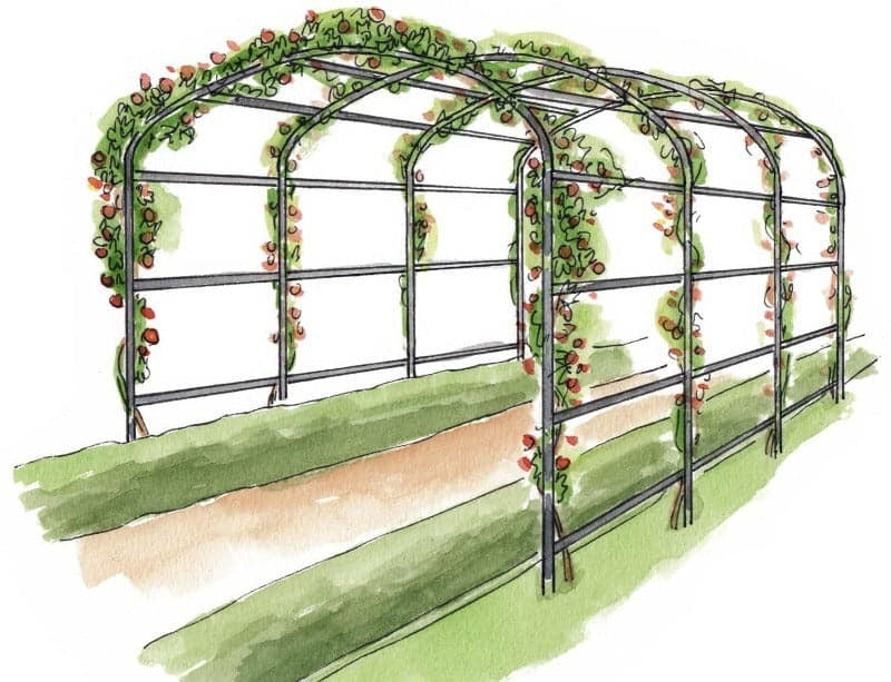 Harrod Pergola Havebue