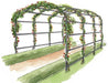 Harrod Pergola Havebue