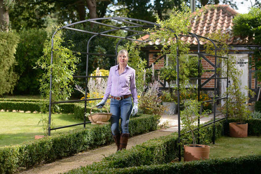 Harrod Pergola Havebue