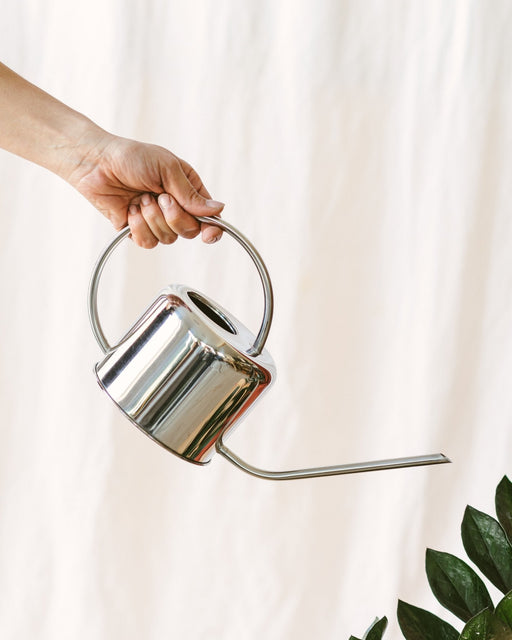 Sølv Vandkande - Planter Og Terrarier