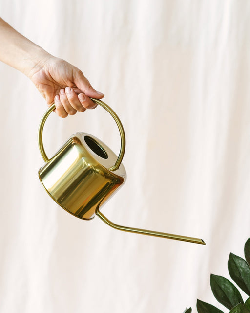 Gylden Vandkande - Planter Og Terrarier