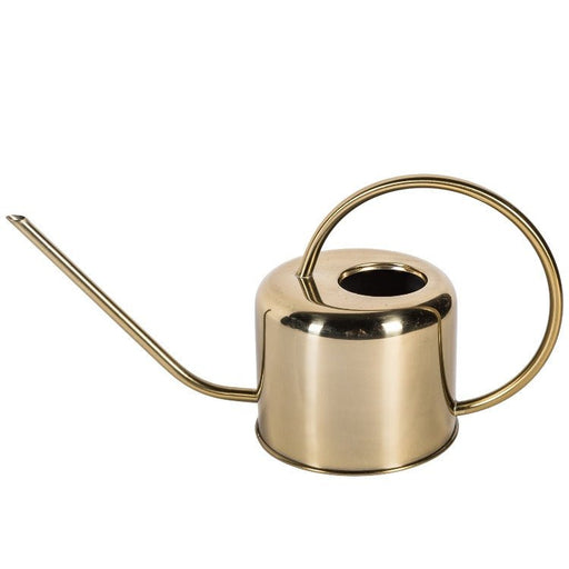 Gylden Vandkande - Planter Og Terrarier