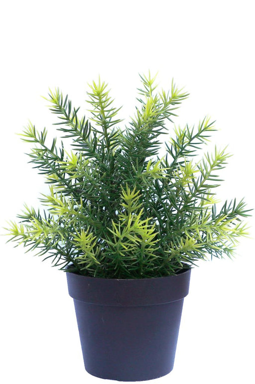 Asparges - Kunstig Grøn Plante