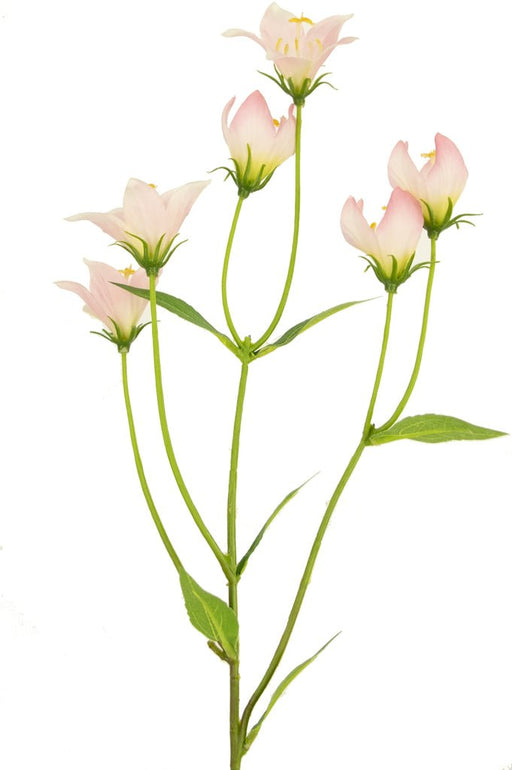 Pink Aster - Kunstig Blomstrende Gren