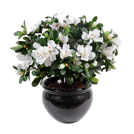 Kunstig Hvid Azalea 35 Cm På Spil Til Indendørs