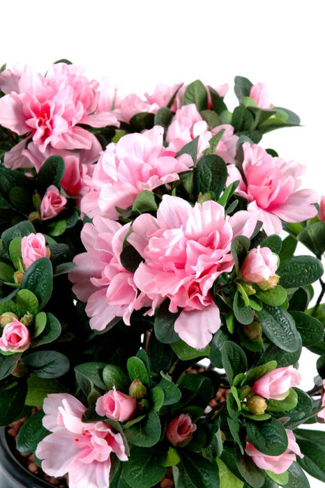Kunstig Azalea På Lyserød Pæl 35 Cm Til Indendørs