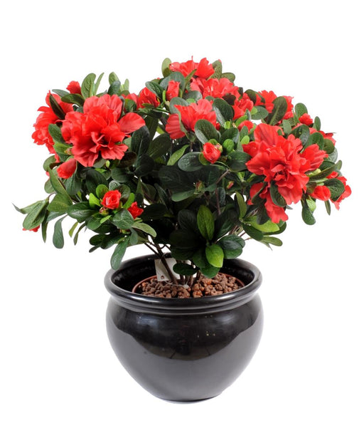 Kunstig Rød Azalea H.35Cm På Stake Til Indendørs