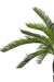 Baby Cycas - Kunstig Håndflade