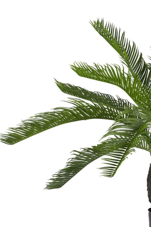 Baby Cycas - Kunstig Håndflade