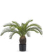 Baby Cycas - Kunstig Håndflade