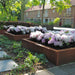 Rustik Corten Stål Firkantet Blomsterkasse 120X40Cm