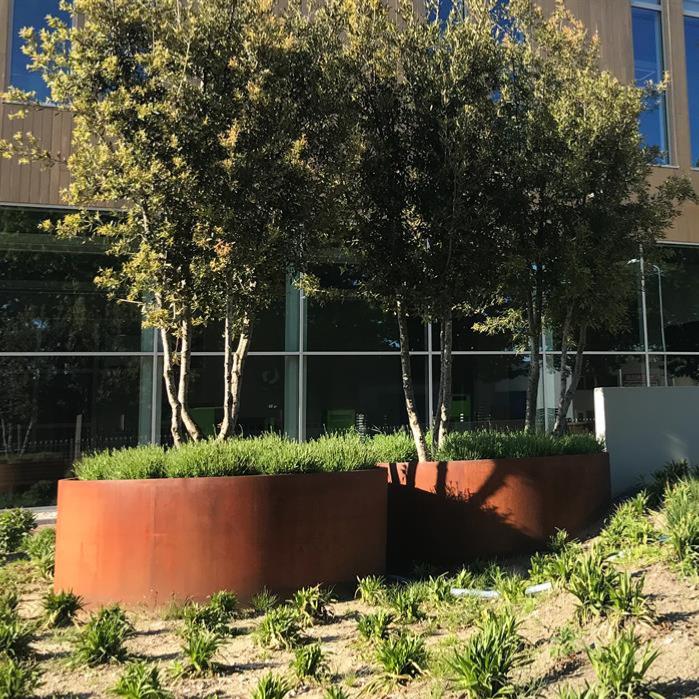 Cylindrisk Corten Stål Blomsterkasse 80Cm