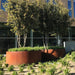 Cylindrisk Corten Stål Blomsterkasse 80Cm