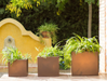 Narciso Bronze Blomsteræske 60 Cm