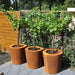 Konisk Corten Stålbakke Til Have 100X80Cm