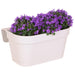 Hvid Balkonbak Med 3 Violet Campanula Addenda - Klokker