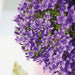 Hvid Balkonbak Med 3 Violet Campanula Addenda - Klokker
