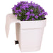 Hvid Balkonbak Med 3 Violet Campanula Addenda - Klokker