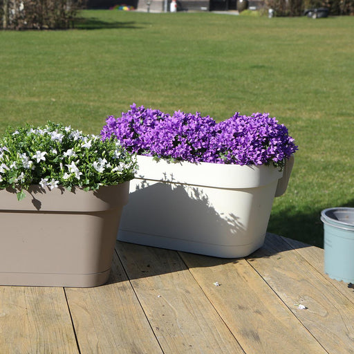 Hvid Balkonbak Med 3 Violet Campanula Addenda - Klokker