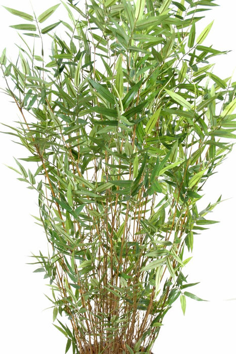 Kunstig Bambus 130 Cm Indendørs Plante
