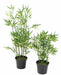 Kunstig Bambus 90 Cm Indendørs Planteglas