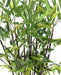 Kunstig Bambus I Pot 60 Cm Sort Cannage