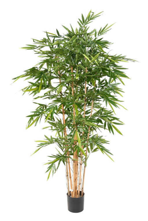 Naturlig Kunstig Bambus H.210Cm Til Indretning
