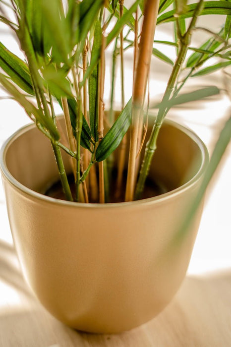 Royal Bamboo - Kunstig Grøn Plante