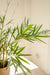 Royal Bamboo - Kunstig Grøn Plante