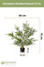 Royal Bamboo - Kunstig Grøn Plante