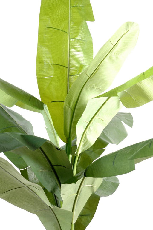 Kunstigt Banantræ 180 Cm Indendørs Plante