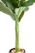 Kunstigt Banantræ 180 Cm Indendørs Plante