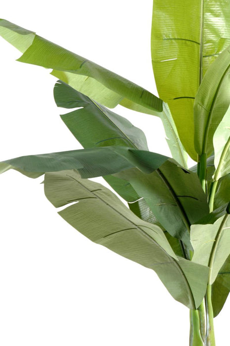 Kunstigt Banantræ 180 Cm Indendørs Plante