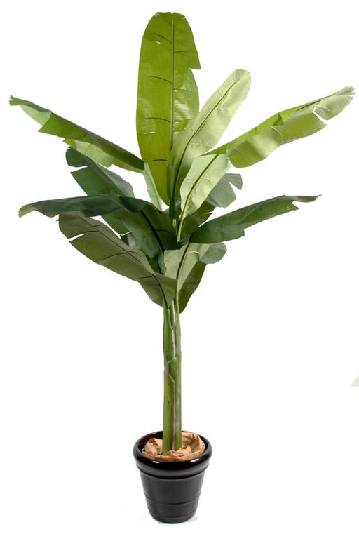 Kunstigt Banantræ 270 Cm Indendørs Plante