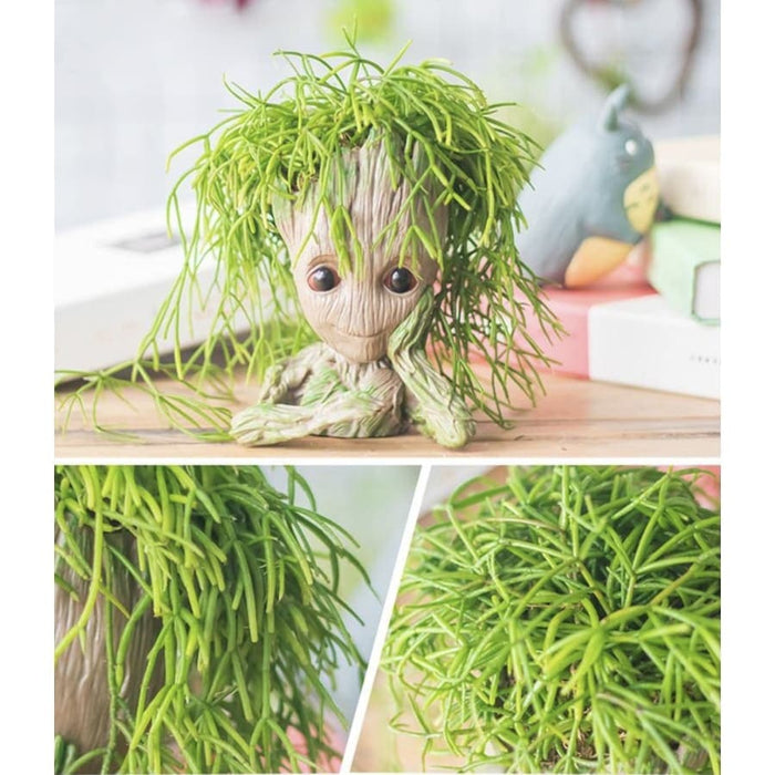Drømmende Og Kærlig Baby Groot (X2)