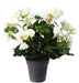 Kunstig Begonia På Stag 30 Cm Hvid