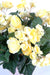 Gul Kunstig Begonia 30 Cm På Bål