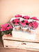 Pink Begonia D14Cm H31Cm