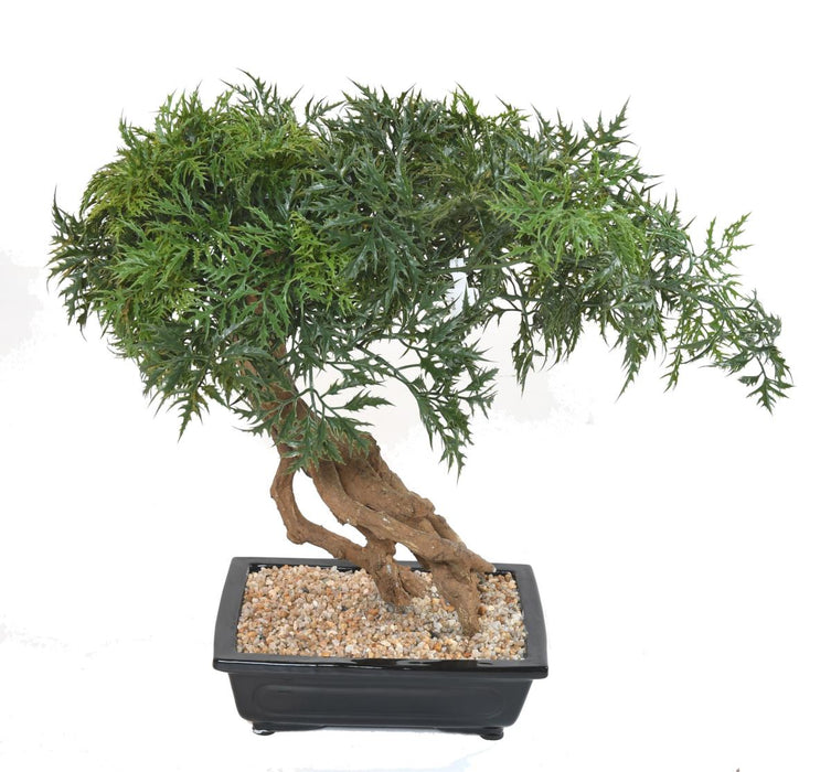 Kunstig Aralia Bonsai I Sektion Til Indendørs 60Cm