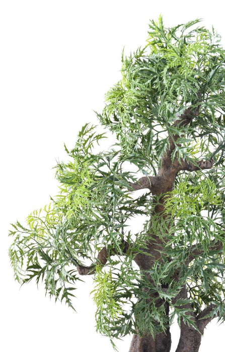 Kunstig Aralia Bonsai Til Indretning