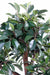 Kunstig Bonsai Ficus 78 Cm Til Indendørs