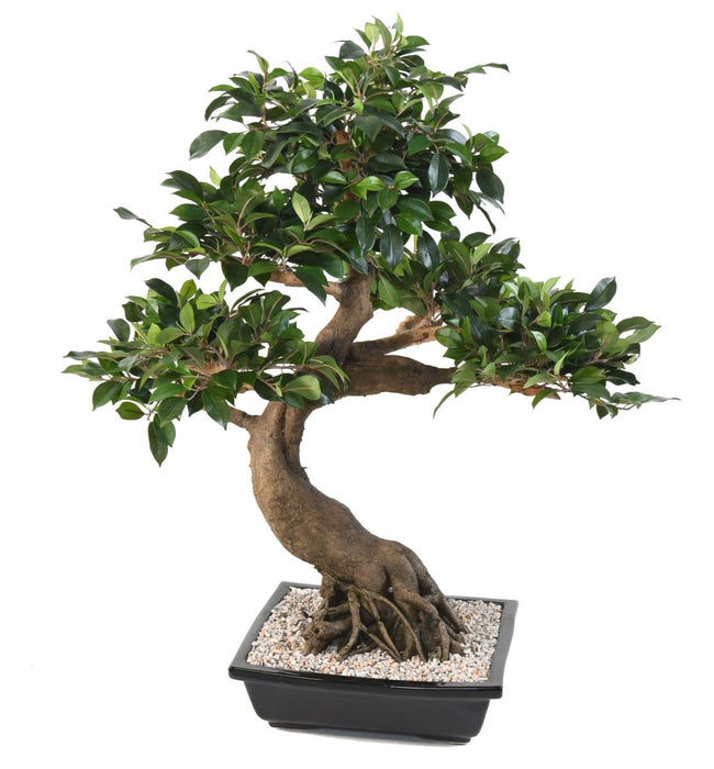 Kunstig Bonsai Ficus 78 Cm Til Indendørs