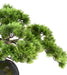 Kunstig Bonsai Fyr 37Cm Med Dekorativ Kop